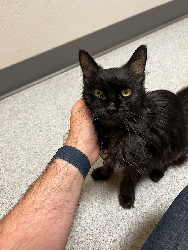 Sam&rsquo;s final photo